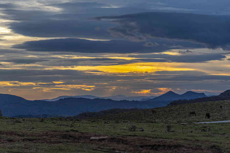 Comunidad Foral de Navarra 119 - Selva de Irati